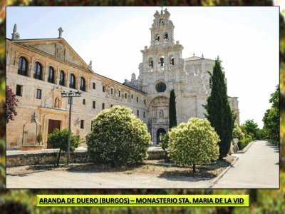 ARANDA DE DUERO (BURGOS) â€“ STA.  MARIA DE LA VID