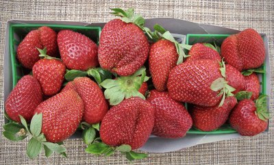 Fresas