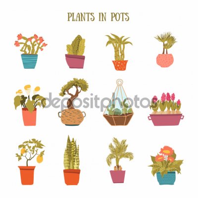 plantas