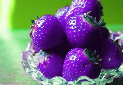 Rare Vibrant Purple Strawberries