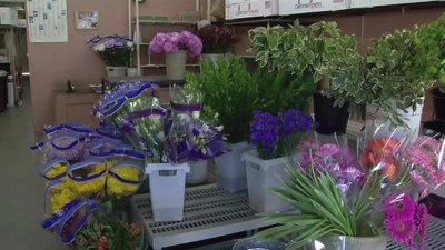 Flower Market-San Francisco, CA