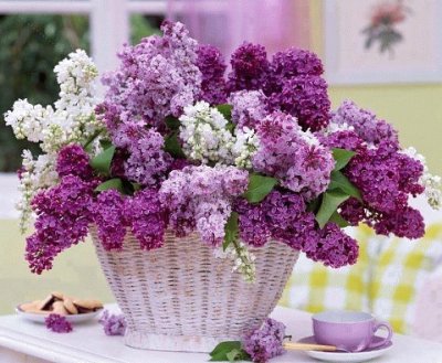 Pretty Basket of Lilacs