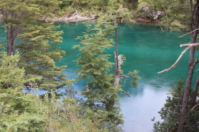 En el PN Los Alerces. Chubut. Argentina