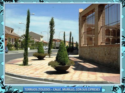 TORRIJOS (TOLEDO)â€“ CALLE  MURILLO CON SUS CIPRESES