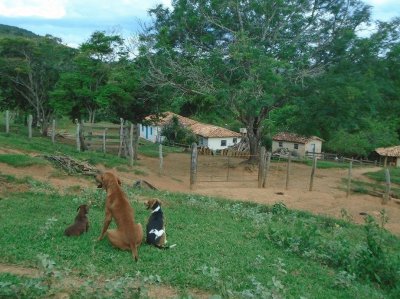 Gardiões da Fazenda