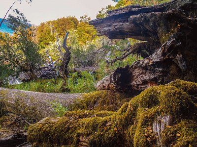 En la Provincia de NeuquÃ©n. Argentina