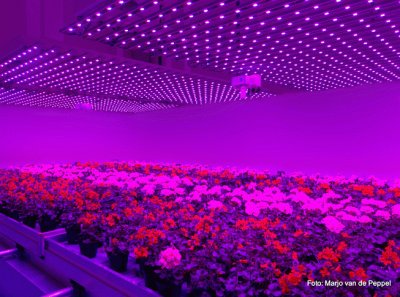 Plant Lab of the Future-Holland