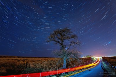 Star trail tree traffic