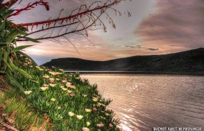 Laguna La Brava. Buenos Aires. Argentina