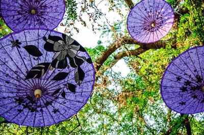 Parasols in a Tree-Thai Art