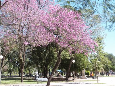 Resistencia. Chaco. Argentina