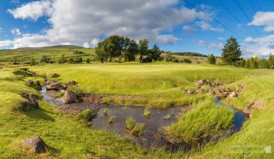 Golf course green