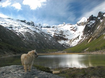 Laguna Esmeralda. Tierra del Fuego. Argentina