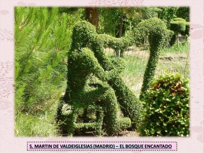 S. MARTIN DE VALDEIGLESIAS â€“ EL BOSQUE ENCANTADO