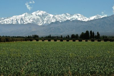 CordÃ³n del Plata. Mendoza. Argentina