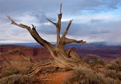 Dead Horse Point