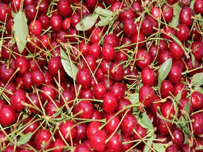 Cereza- Rojo, Fruta.