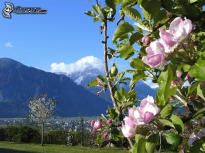 todo paisaje