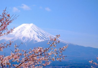 todo paisaje