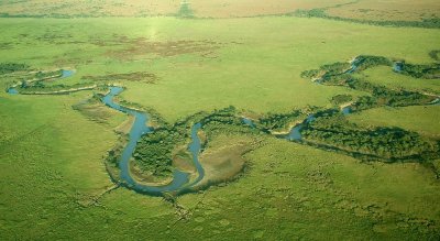 Esteros del IberÃ¡. Corrientes. Argentina