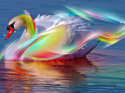 Cisne de colores.