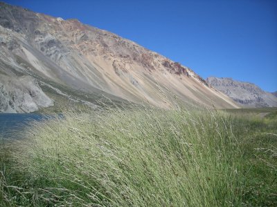 todo paisaje