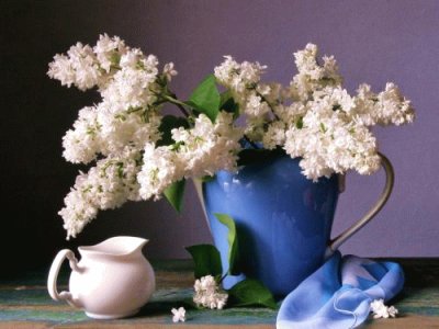 White lilacs