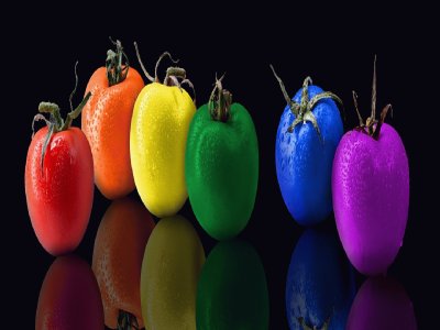 Tomates- Colorido.