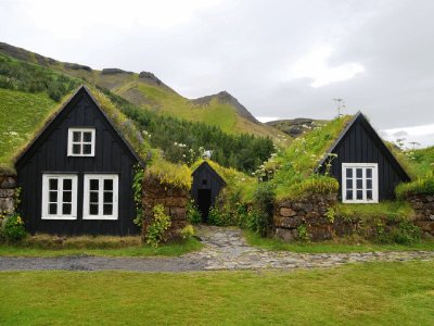 Museo Islandia- Hierba.