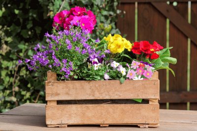 CajÃ³n de Flores