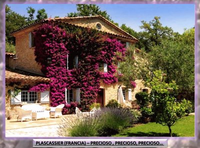 PLASCASSIER (FRANCIA) â€“ PRECIOSO, PRECIOSO...