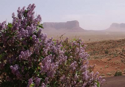 Monument Valley