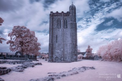 Abbey Ruin Stirling