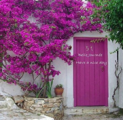 Puerta fucsia