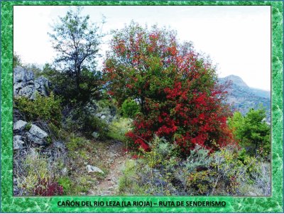 CAÃ‘Ã“N DEL RIO LEZA (LA RIOJA) â€“ RUTA DE SENDERISMO