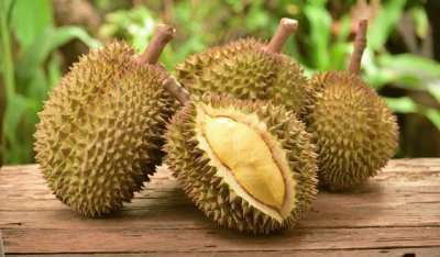 durian