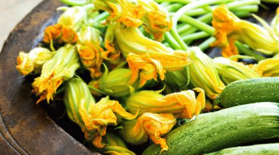 fiore di zucca