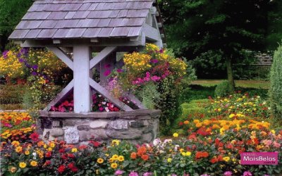 Wishing Well Garden