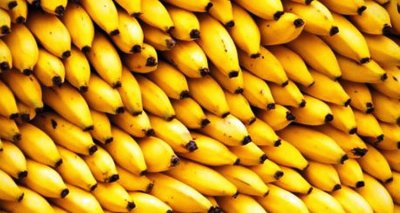 Bananas