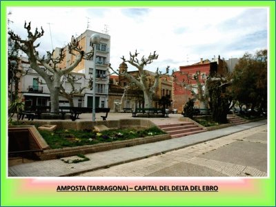 AMPOSTA (TARRAGONA) â€“ CAPITAL DEL DELTA DEL EBRO