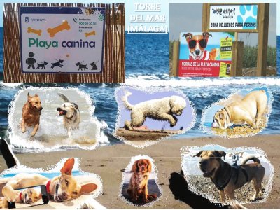 TORRE DEL MAR (MÃLAGA) - PLAYA CANINA