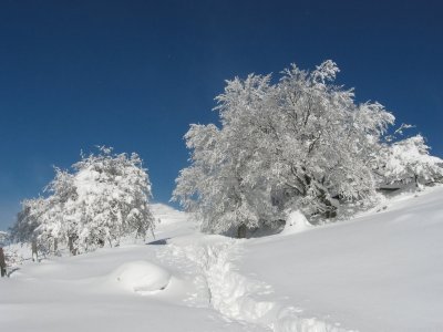 Trinidad de Erga