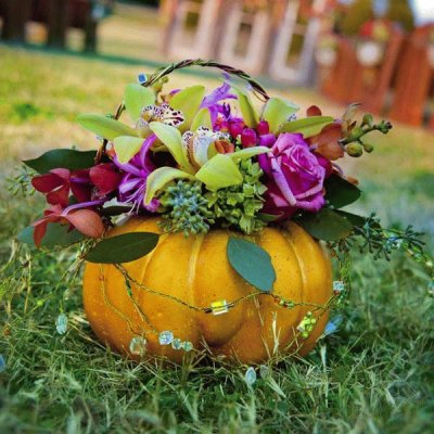 Exotic Floral Arrangement in a Pumpkin