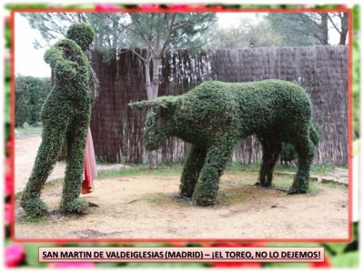 SAN MARTIN DE VALDEIGLESIAS (MADRID) â€“ Â¡EL TOREO!,