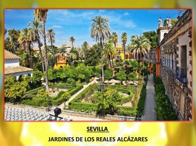 SEVILLA   JARDINES DE LOS REALES ALCÃZARES