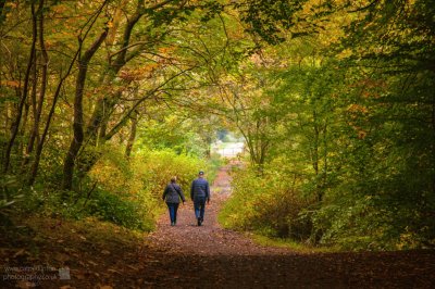 Autumn stroll