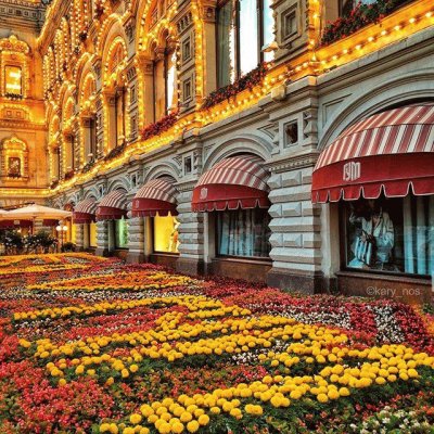 Festival de flores-MoscÃº