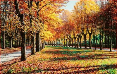 PINTURA OTOÃ‘O