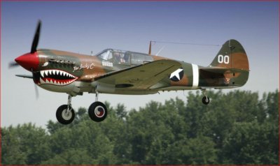 P-40 TIGRE VOLADOR