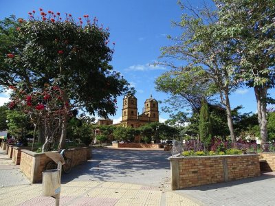 paisaje hermoso en el parque